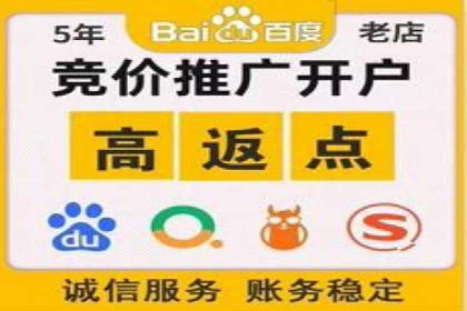 案例展示：SEM推广助力品牌知名度提升